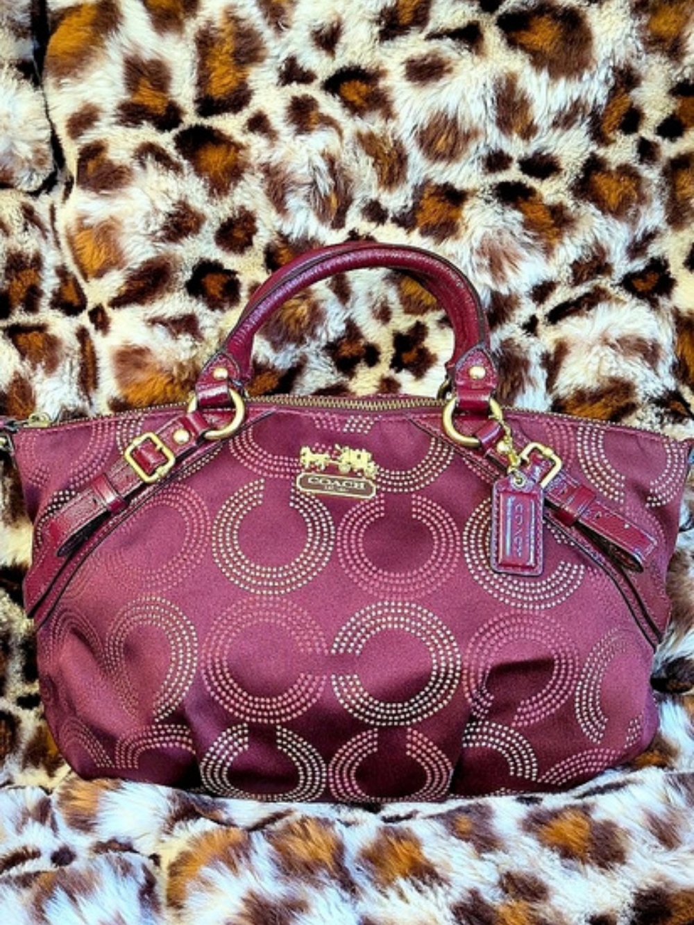 2010 Coach Madison Dotted Art Sophia Handbag